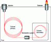 Figure 7 - General diagram of a GCxGC system