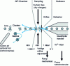 Figure 8 - Gas curtain" installation diagram 