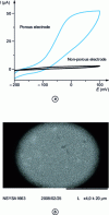 Figure 2 - (a) comparison of bioelectrocatalytic currents obtained with a "conventional" microelectrode and a porous microelectrode for enzymatic glucose detection and (b) SEM image of the surface of a porous microelectrode.