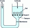 Figure 8 - Single-membrane electrodialysis: equipment