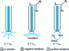 Figure 4 - Principle of the SECM feedback mode