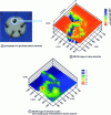 Figure 8 - SECM image in feedback mode