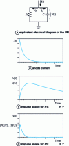 Figure 12 - Pulse shape at photomultiplier output