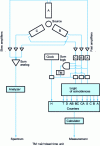 Figure 14 - Schematic diagram of a three-photomultiplier counter using the triple-to-double coincidence ratio (TDCR) method.