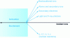 Figure 1 - The consequences of bombardment of a material by light ions in the mega-electronvolt range