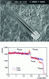 Figure 10 - Characterization of the weathered surface of a uranium oxide by elastic proton scattering at 3.45 MeV with a 10 µm × 10 µm beam. The secondary phase developing on the oxide surface is UO 2(OH)2 schoepite.[72]