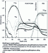 Figure 13 - SIMS profiles on a multilayer polymer-based photovoltaic component [21].