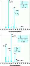 Figure 5 - Examples of mass spectra of carbonyl
compounds obtained by electron ionization