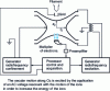 Figure 6 - Schematic representation of an ITMS