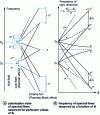 Figure 12 - Effect of an external magnetic field on the 2P1/2 - 2S1/2 and 2P 3/2 - 2S1/2 transitions of an alkali atom