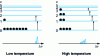 Figure 23 - Hot bands in Raman spectra