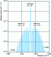 Figure 25 - Raman rovibrational spectrum of the N2 molecule.