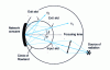 Figure 8 - Diagram of a polychromator using the Paschen-Runge circuit based on Rowland's circle geometry.