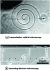 Figure 17 - Microchannels made in glass by fs laser ablation at 527 nm, using the multiphoton absorption principle (Reproduced with permission from the authors )