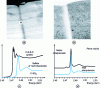 Figure 19 - XANES mapping of a section ...