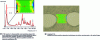 Figure 20 - Image obtained on the SMIS FT-IR imaging line (resp. Paul Dumas) at the SOLEIL synchrotron by L. Garrido's team.