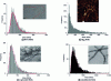 Figure 8 - Mass distributions (counting frequency versus molecular weight) and TEM images of several protein fibers