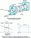 Figure 10 - Quantitative analysis of solutions. Determination of cell thickness