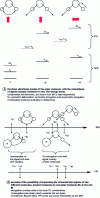 Figure 5 - Combination transitions