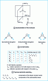 Figure 2 - Water molecules: symmetry and normal modes