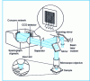 Figure 22 - Schematic diagram of optical setup for line-scan imaging system