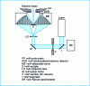 Figure 26 - Principle of coupling Raman spectrometry with electron microscopy