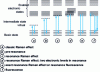 Figure 5 - Various transitions involved in the Raman resonance effect