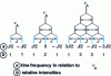 Figure 11 - Coupling nucleus A to 1, 2, 3 nuclei X, 1/2 spins, first order