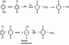 Figure 3 - Hydroquinone oxidation process 8