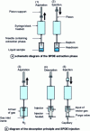 Figure 6 - How the SPDE™ works (reproduced with permission from Alpha-MOS)