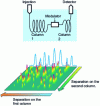 Figure 9 - GC×GC principle (reproduced with permission from Thermo Electron)