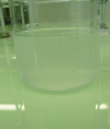 Figure 1 - Lavender floral water obtained just after
hydrodistillation