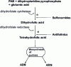 Figure 26 - Action of a sulfonamide and an antifolinic agent