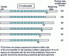 Figure 12 - PCR amplification of a CA-type microsatellite (n) (from )