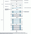 Figure 4 - Representation of the first three PCR cycles