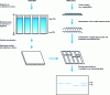 Figure 3 - Southern blot stages