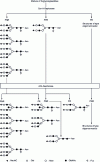 Figure 18 - Sequential fractionation of glycopeptides by affinity chromatography on tandem ConA and immobilized LCA columns. FNR: fraction non-retained; FFR: fraction weakly retained; FR: fraction retained.