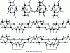 Figure 3 - A fragment of a cellulose molecule (Source: Biologie et Multimédia – Université Pierre et Marie Curie)