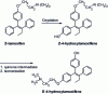 Figure 35 - Isomerization of Z-hydroxytamoxifen to E-hydrotamoxifen