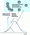 Figure 10 - Road bitumen chromatogram under "ultrafast SEC" conditions