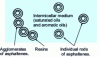 Figure 8 - Representation of the bitumen colloidal structure model