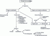 Figure 15 - Analysis diagram for a complex mixture