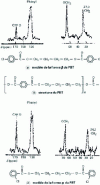 Figure 11 - Chemical structures and CP/MAS13C NMR spectra of poly(butylene terephthalate) (PBT) models