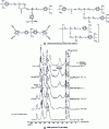 Figure 18 - CP/MAS13C NMR spectra of epoxide/cyanate systems with different epoxide/cyanate ratios