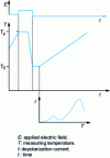 Figure 5 - Principle of thermostimulated currents