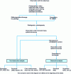 Figure 1 - A common approach to the study and analysis of cultural heritage assets