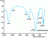 Figure 5 - Infrared spectrum of a sample of fossil ivory heated to 550 ˚C from the paleontological collection of the Muséum national d'histoire naturelle, with attribution of the different absorption bands, recorded with a Perkin-Elmer Spectrum 2000 spectrometer on a KBr pellet.