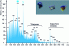 Figure 3 - Photo of three micro-samples (the one in the center measures around one hundred micrometers in length) from the Gallic site of Grand Aunay (3rd and 2nd centuries B.C.) which were analyzed by mass spectrometry (electron impact at 70 eV electron impact) and the mass spectrum of one of them identified a mixture of birch pitch based on triterpenes (disc-marked peak) and beeswax, thanks to the molecular peaks and base peak (X-marked peak) of a series of esters. (Adapted from Regert and Rolando, 2002 [76])