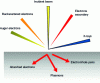 Figure 1 - Main signals from electron-matter interaction