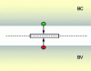 Figure 7 - SRH recombination between free carriers and a deep level near the middle of the bandgap